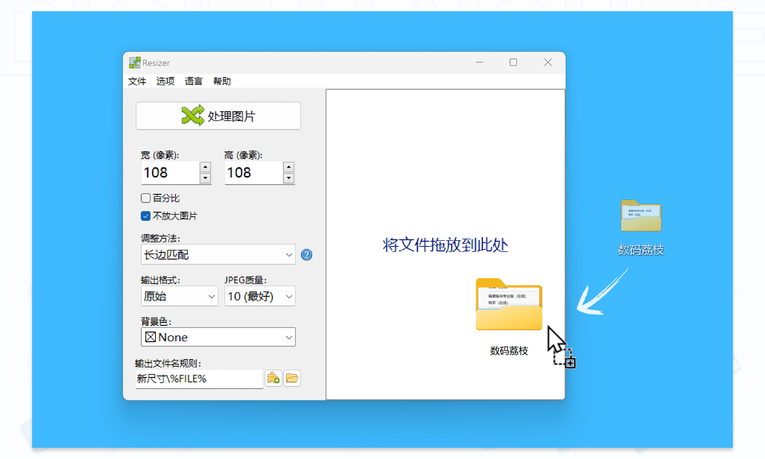 Resizer Pro: 