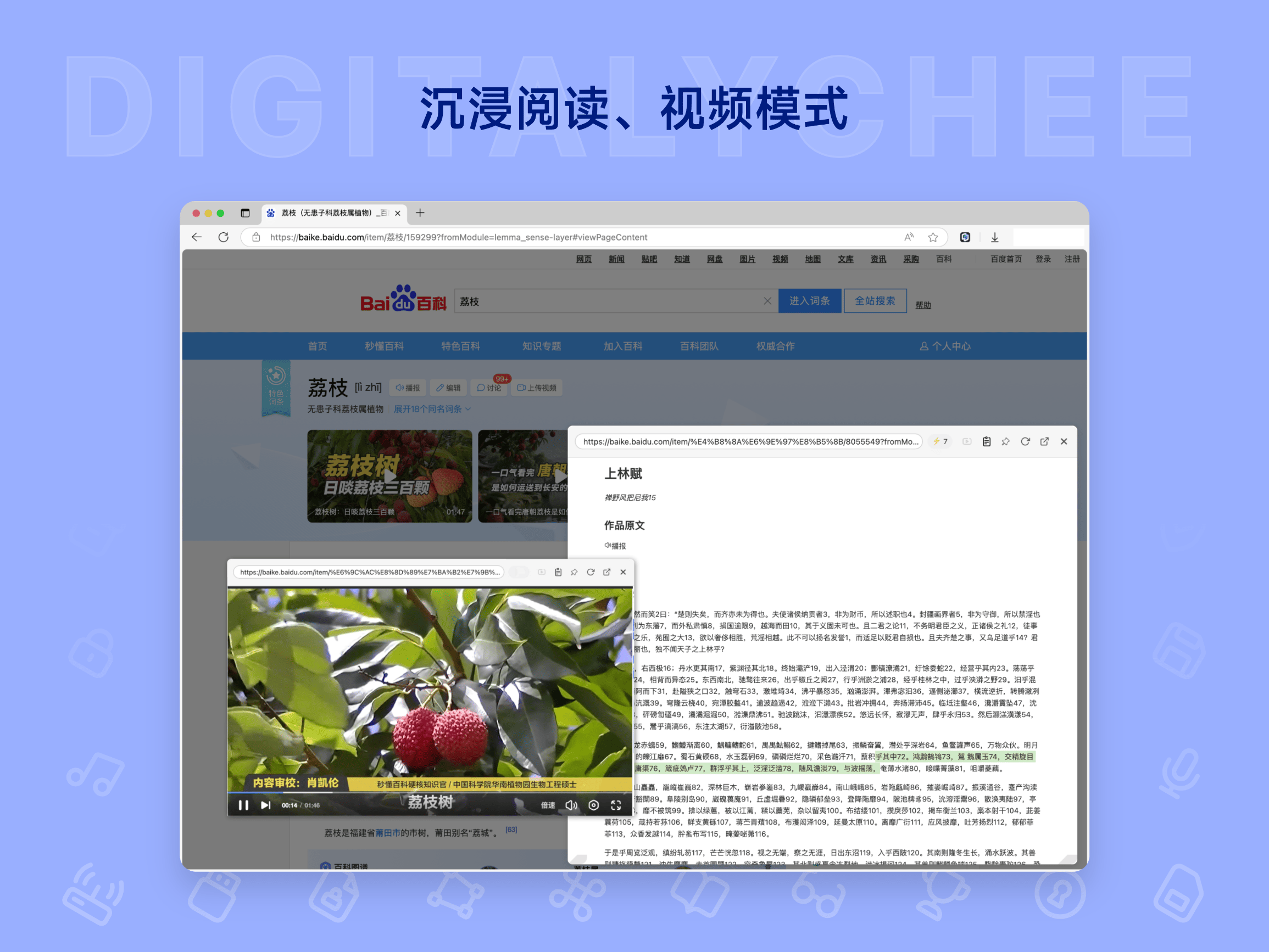 NoTab: 沉浸阅读、视频模式