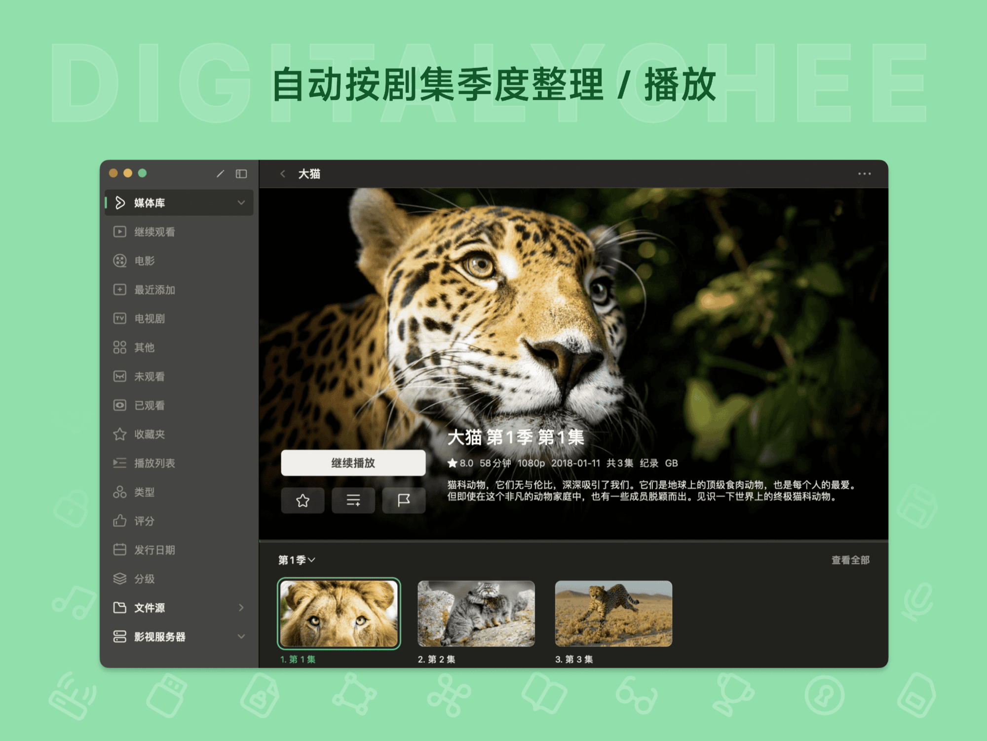 VidHub: 自动按剧集季度整理 / 播放