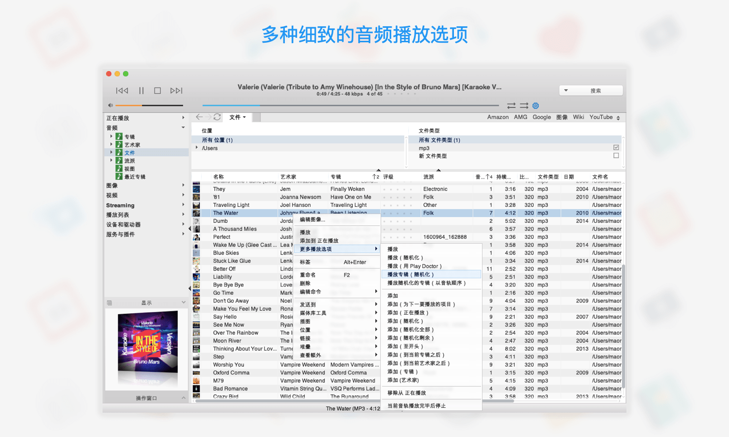 JRiver Media Center: 