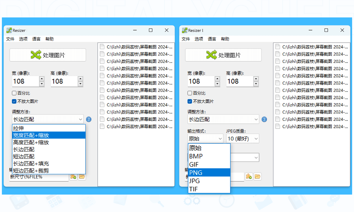 Resizer Pro: 