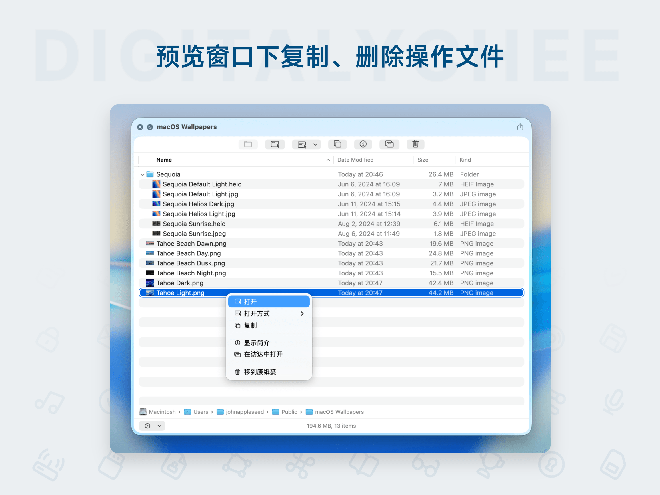 Folder Preview Pro: 预览窗口下复制、删除操作文件
