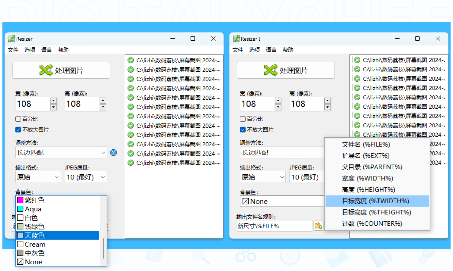 Resizer Pro: 