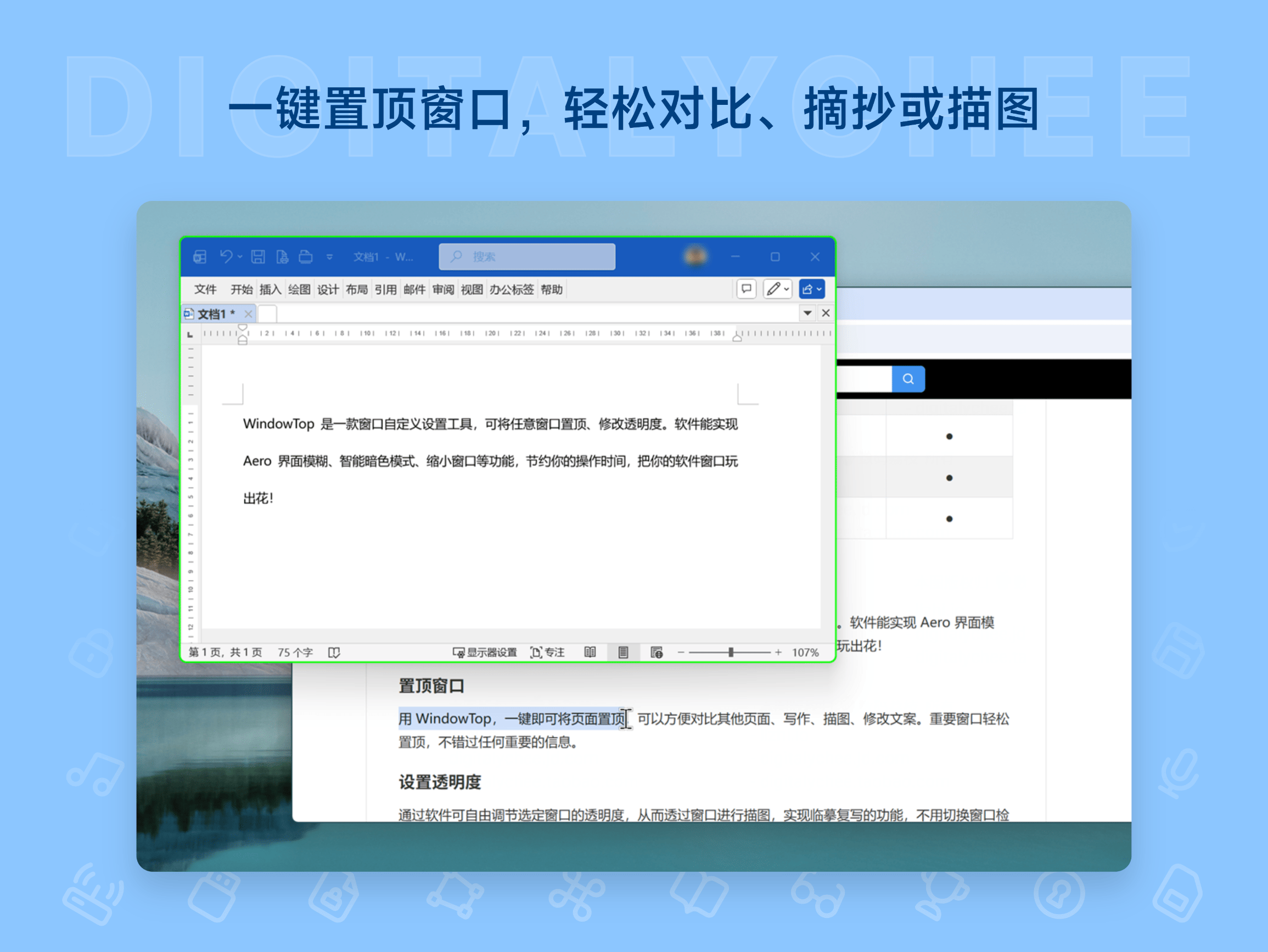 WindowTop: 一键置顶窗口，轻松对比、摘抄或描图