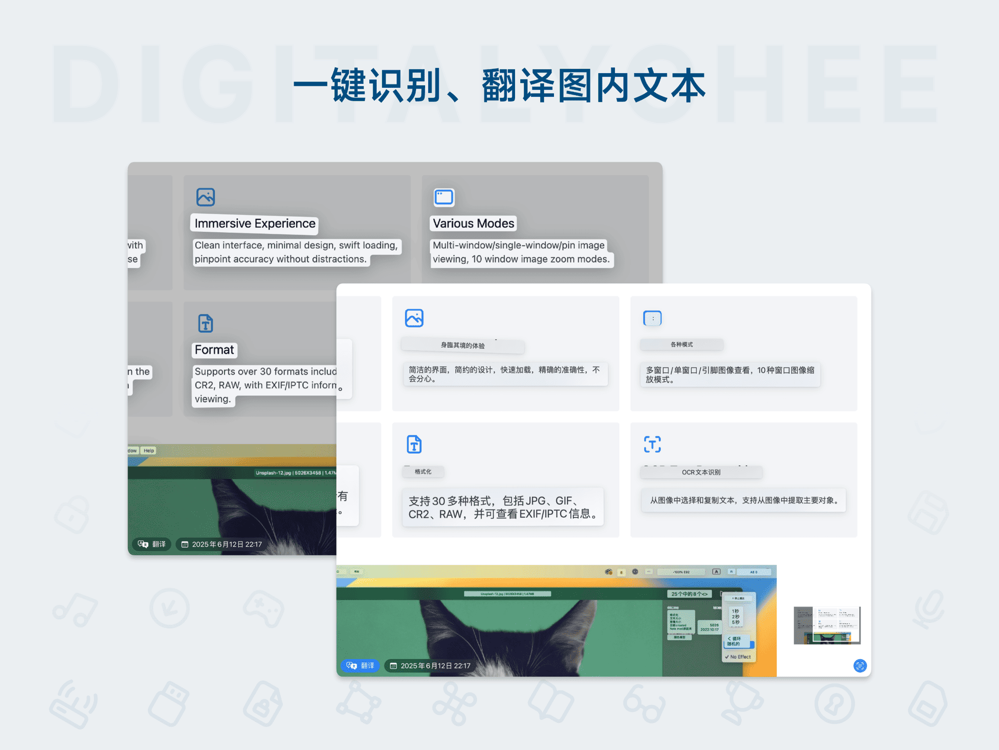 Picview: 一键识别、翻译图内文本
